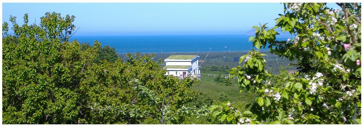 Gite Chez Majo Bed & Breakfast Havre-Aubert Exterior photo